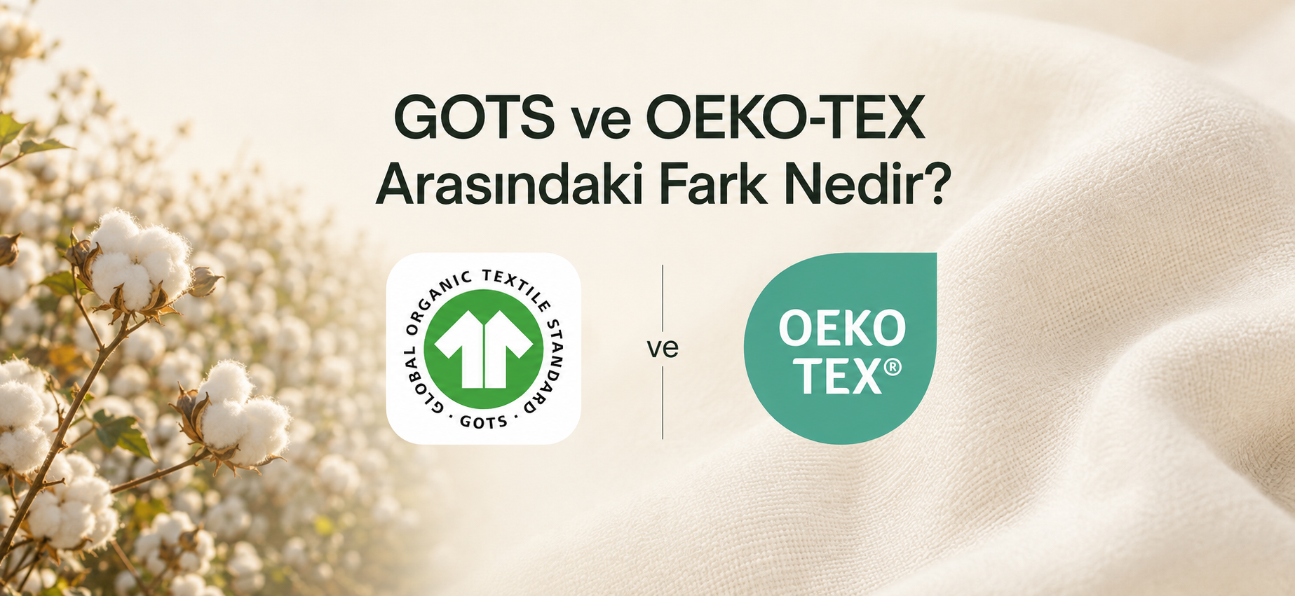 GOTS ve OEKO-TEX Arasındaki Fark Nedir?