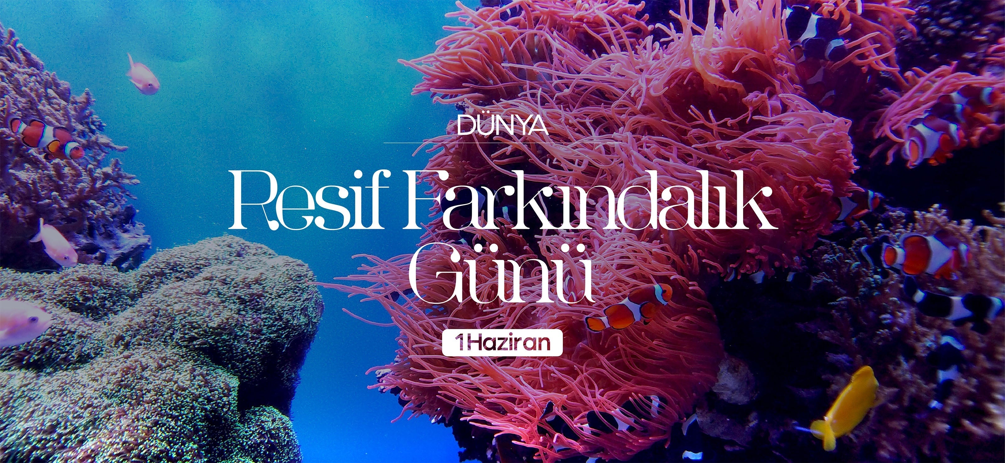 1 Haziran'daki Dünya Resif Farkındalık Günü