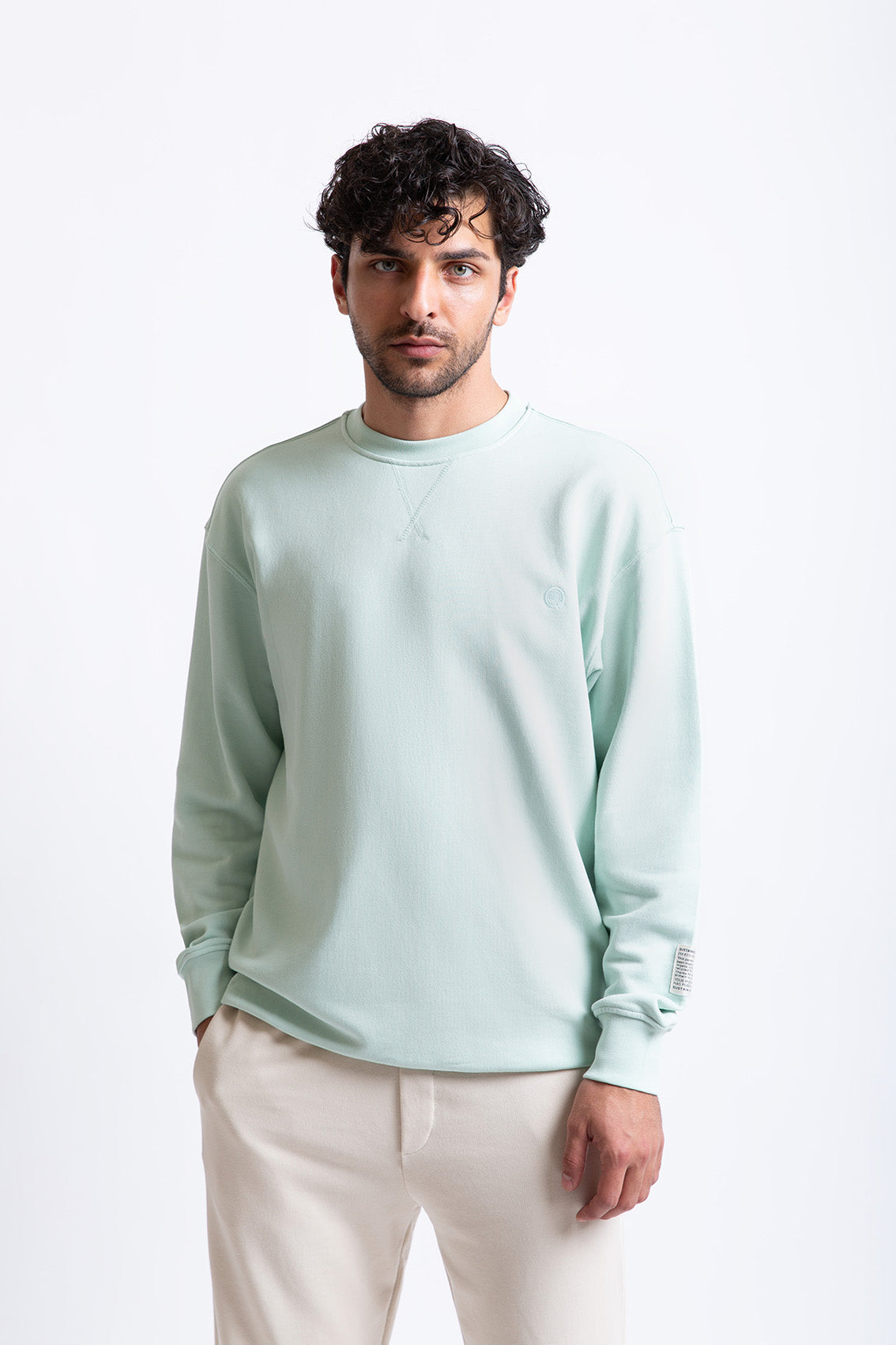 Su Yeşili pamuklu erkek regular sweatshirt #Renk_Su Yeşili