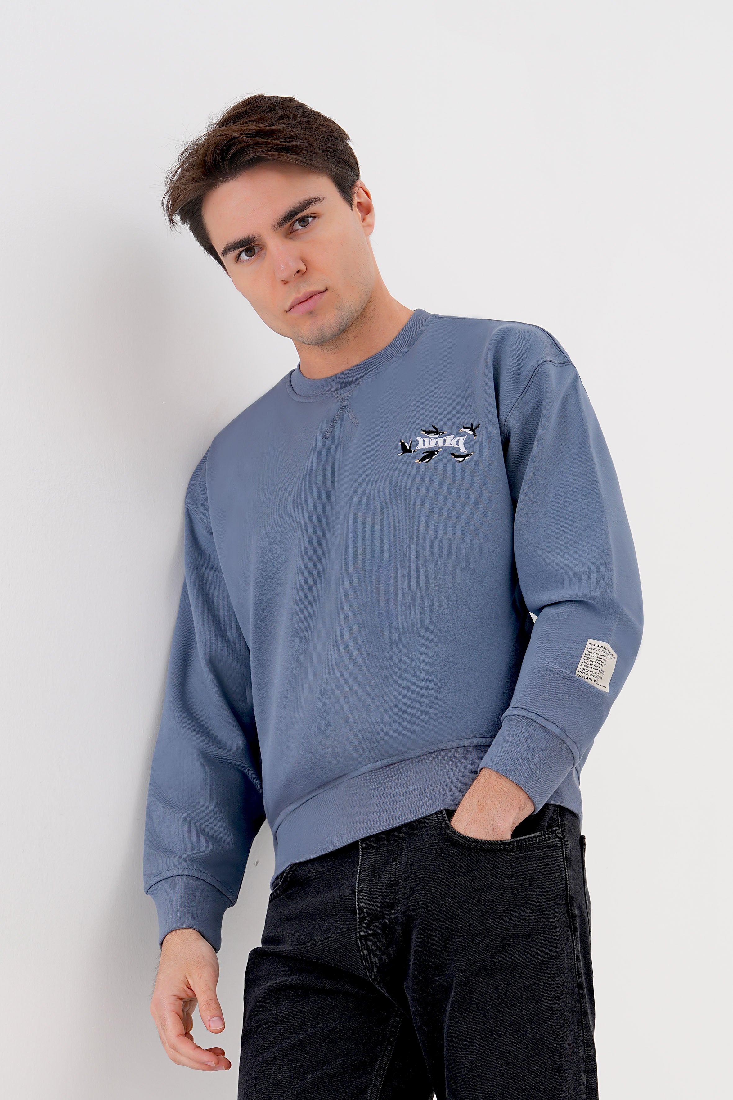 Penguen nakışlı organik pamuklu erkek sweatshirt ile kışın sıcacık geçsin! %100 organik pamuk kumaşıyla yumuşak, nefes alabilir ve çevre dostu bir seçim. Sürdürülebilir moda ile tarzını tamamla!