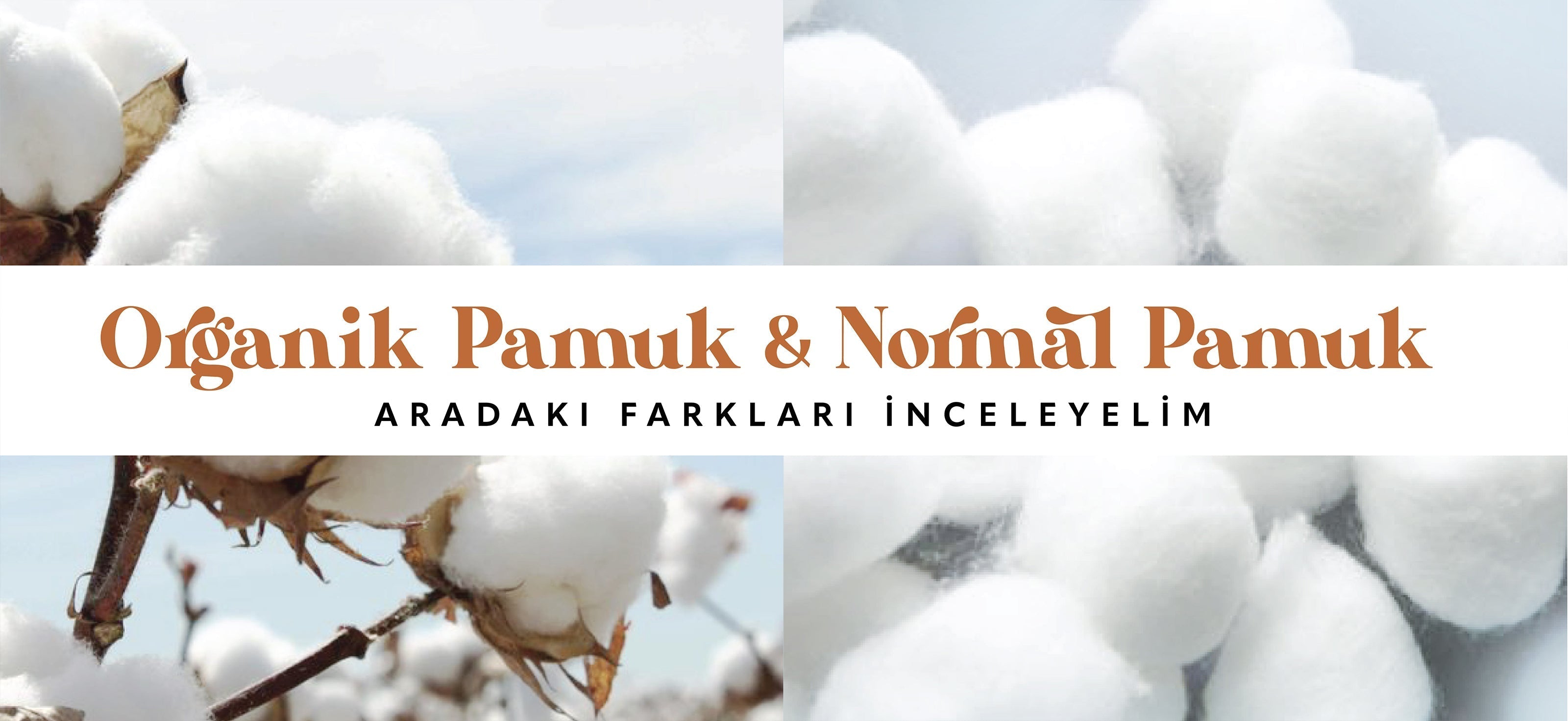 Organik Pamuk & Normal Pamuk