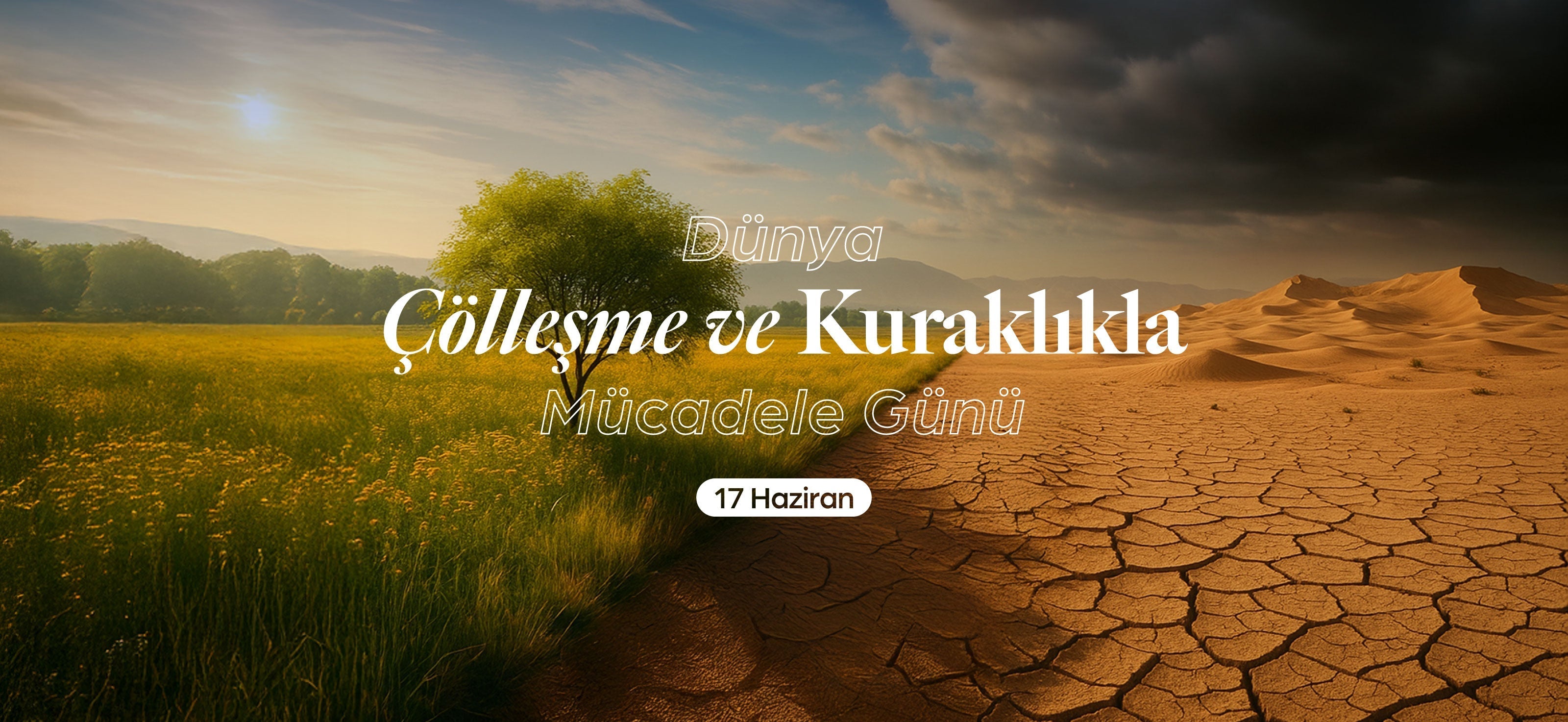 17 Haziran Dünya Çölleşme ve Kuraklıkla Mücadele Günü