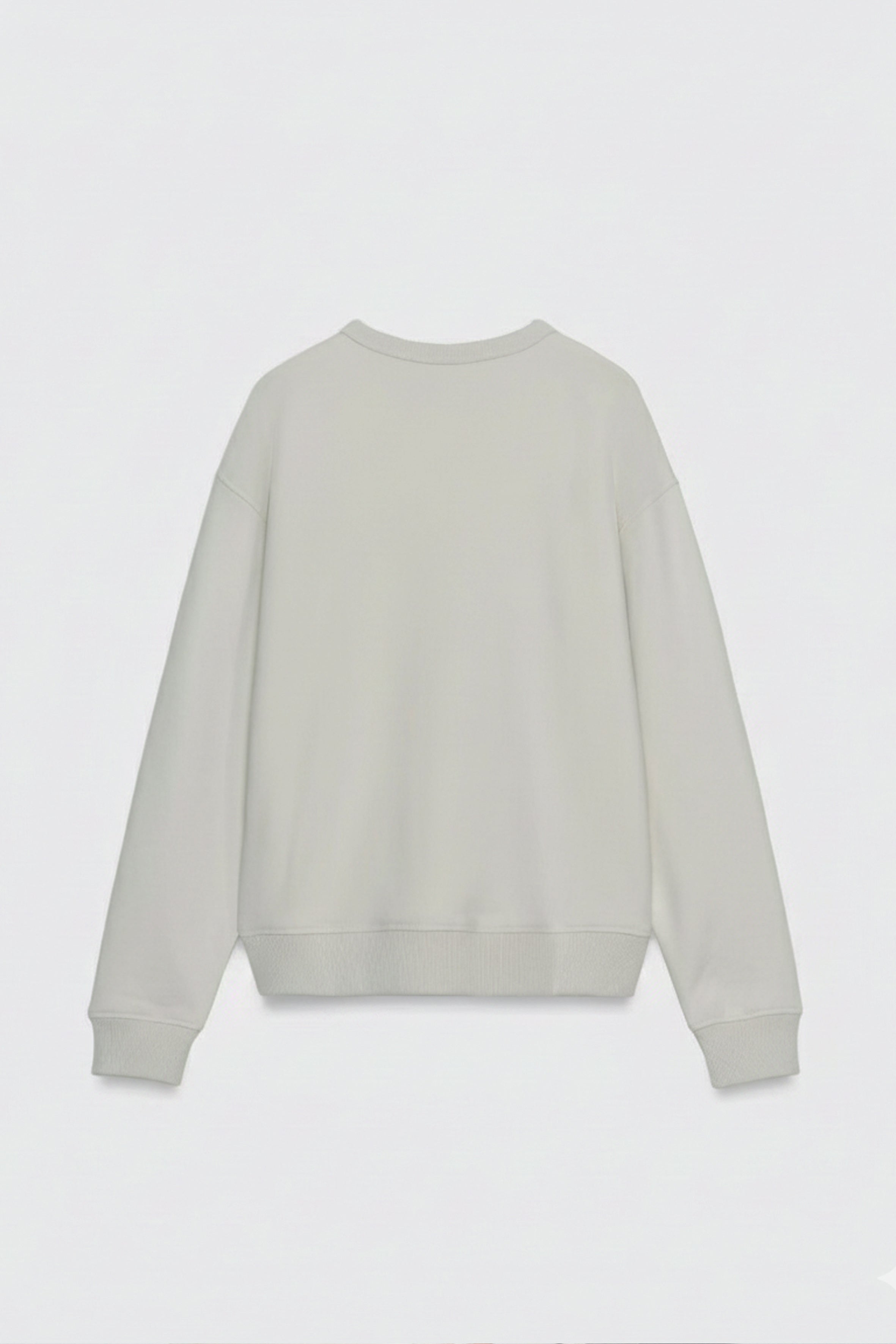 Regular Organik Pamuklu Taş Sweatshirt