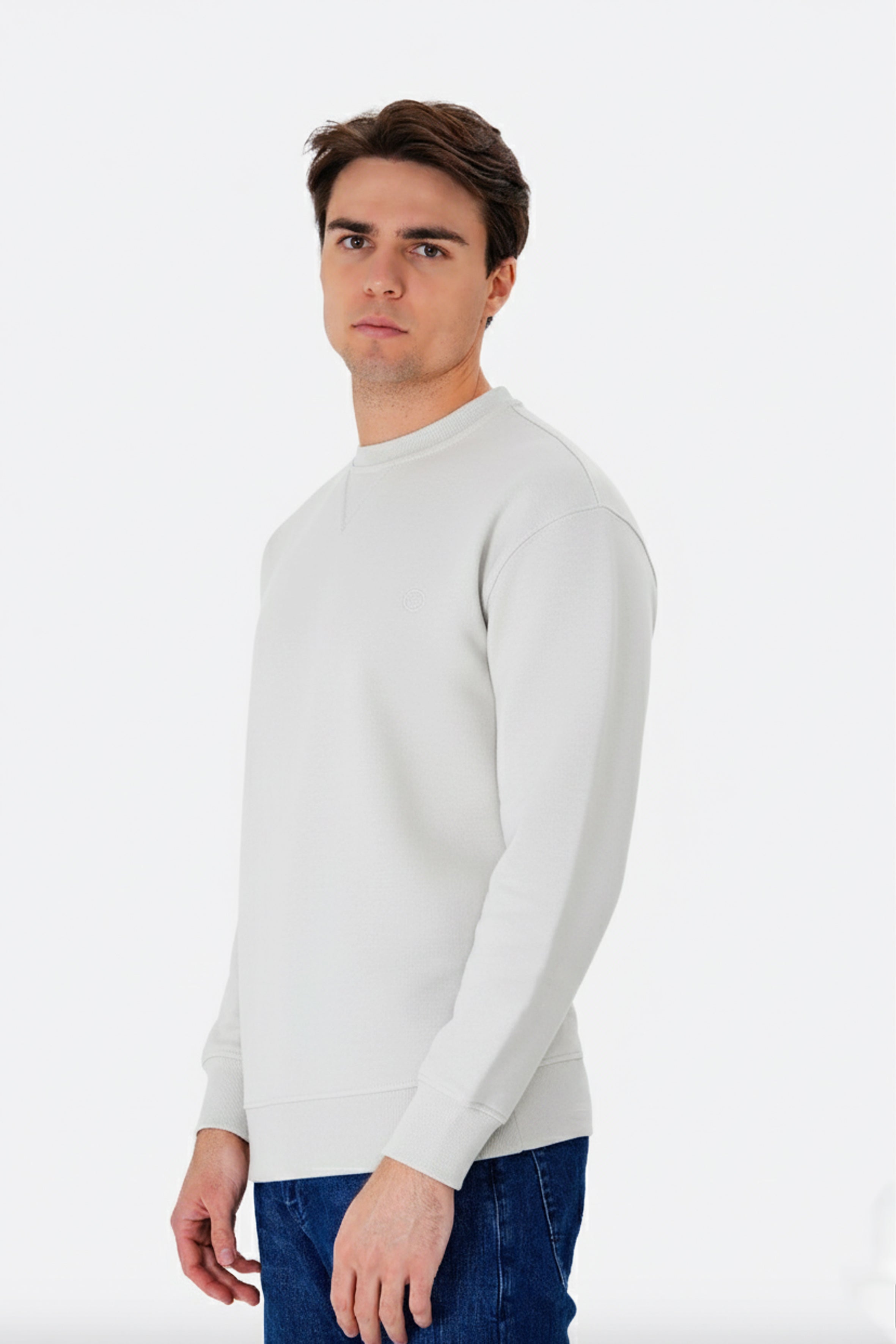 Regular Organik Pamuklu Taş Renk Erkek Sweatshirt