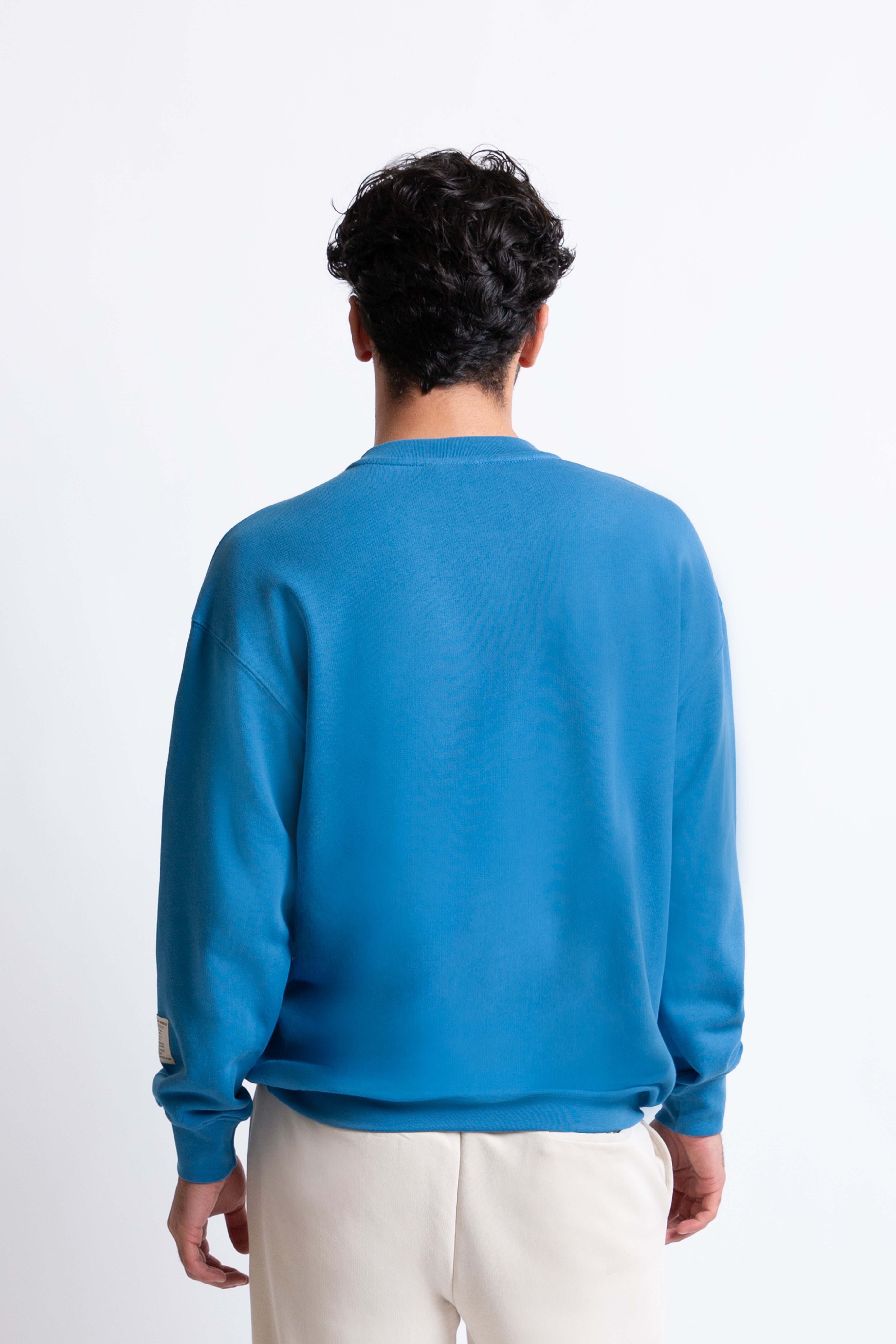 Saks Mavisi pamuklu erkek regular sweatshirt #Renk_Saks Mavisi